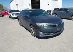 4T1BK1FK7DU537136: 44467220