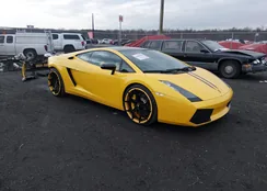 ZHWGU12T96LA02850: 44466504