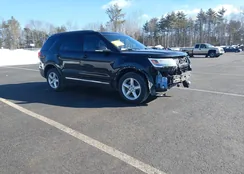 1FM5K8D83HGD33483: 44466650