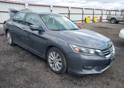 1HGCR2F81EA005755: 44467759