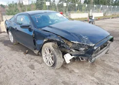 1ZVBP8AM3E5278824: 44467504