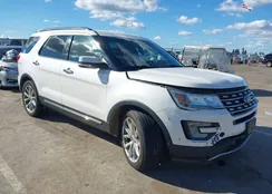 1FM5K8F89GGD29417: 44469056