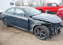 ZARFANBN2K7608504: 44469194