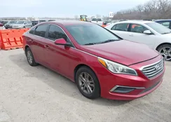 5NPE24AF1GH271737: 44470198