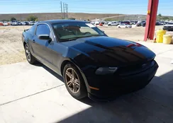 1ZVBP8AM2C5234147: 44471925