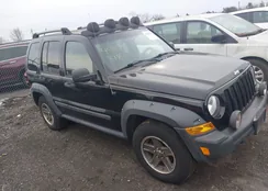 1J4GL38K96W272687: 44473181