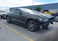 1FA6P8CF1F5355541: 44472671