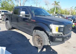 1FTEW1E52KFB09882: 44473736