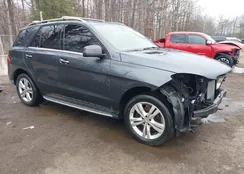 4JGDA5JBXDA244990: 44473768