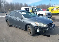 1HGCP2F38BA009582: 44474116