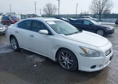 1N4AA5AP5AC859682: 44473372