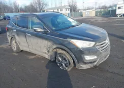 5XYZUDLBXGG364088: 44473629