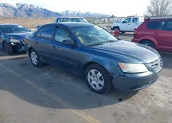 5NPET46C59H449261: 44476167