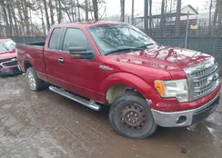 1FTEX1CM8DFC53754: 44475443