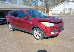 1FMCU0GX8EUA90773: 44476985