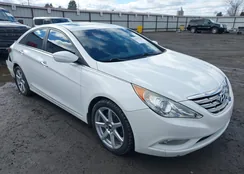 5NPEC4AC1BH157149: 44477768