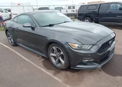 1FA6P8AM4F5319702: 44479264