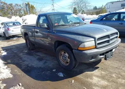 1D7FL16X03S228526: 44478334