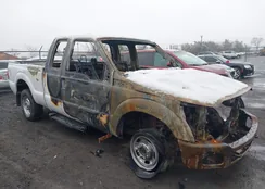 1FT7X2B6XBEC11509: 44478619