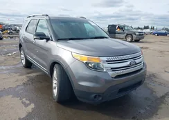 1FM5K8D85DGC39700: 44479756