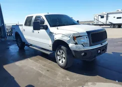 1FTFW1EF1EFA44623: 44479413