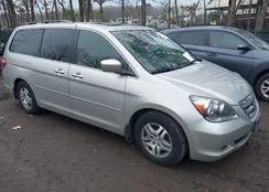 5FNRL38705B054828: 44480934