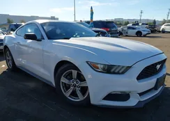 1FA6P8AM3G5207135: 44480944