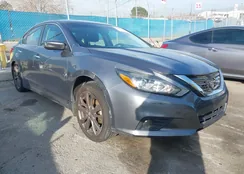 1N4AL3AP8JC293161: 44480372