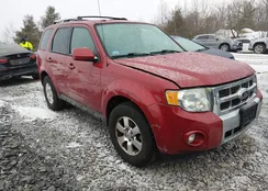 1FMCU9EG1BKB17987: 44480680