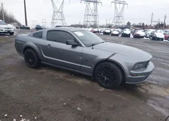 1ZVFT82HX65172130: 44481778