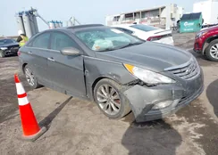 5NPEC4AC3DH559306: 44482236