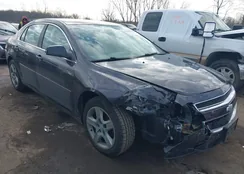 1G1ZB5E13BF261017: 44482829