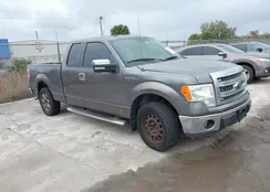 1FTEX1CM3DFB34784: 44483990