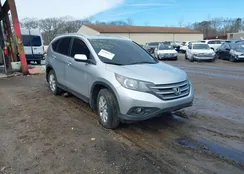 2HKRM3H73DH512164: 44484177