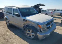 1D8GT28K59W528703: 44483404