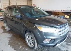 1FMCU9GD2KUC01470: 44483494