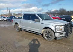 1FTEW1CG0FFB56953: 44484761