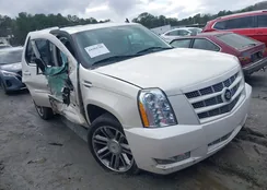 1GYS4CEF2DR157794: 44484780