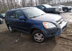 SHSRD78894U213513: 44484852