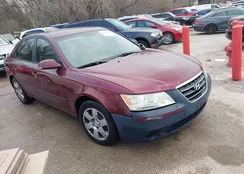 5NPET46C79H558157: 44484950