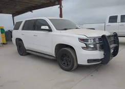 1GNLCDEC1KR244597: 44484952