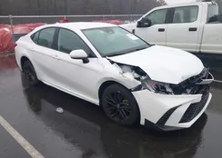 4T1DBADK8SU519799: 44485064