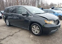 5FNRL5H40EB005484: 44485117