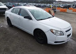 1G1ZA5EU4BF192738: 44485188