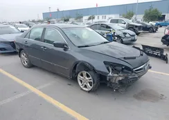 1HGCM56746A053307: 44484573