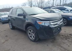 2FMDK4GC7DBC65341: 44485832