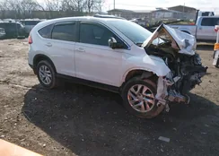 5J6RM3H51FL022328: 44487054