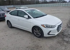 5NPD84LF5HH123356: 44486330