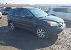 5J6RE4H42BL016610: 44486499