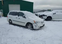 5FNRL38268B103751: 44486553